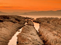 催收短信电话轰炸机